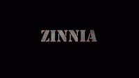 ZINNIA 2K24 Technical Symposium Poster
